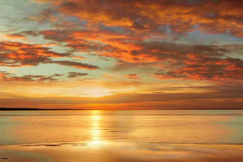 Sunlit Black Ornate Wood Framed Art Print with Double Matting by Seba, John