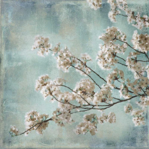 Aqua Blossoms I Black Ornate Wood Framed Art Print with Double Matting by Seba, John