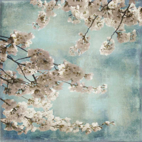 Aqua Blossoms II White Modern Wood Framed Art Print with Double Matting by Seba, John