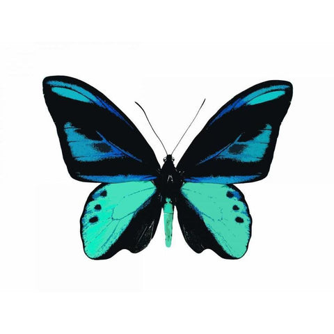 Vibrant Butterfly I Black Modern Wood Framed Art Print with Double Matting by Bosco, Julia