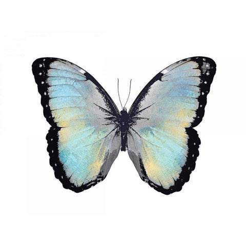 Blue Hue Butterfly White Modern Wood Framed Art Print by Bosco, Julia