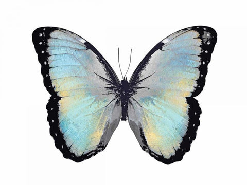 Blue Hue Butterfly White Modern Wood Framed Art Print with Double Matting by Bosco, Julia