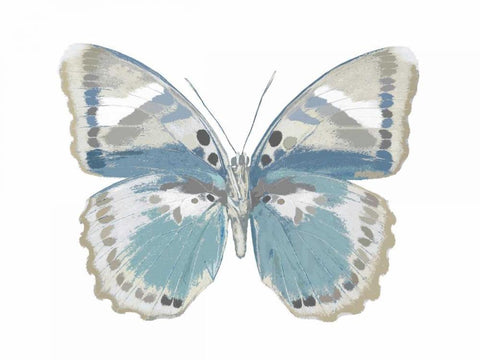 Butterfly in Green and Indigo Black Ornate Wood Framed Art Print with Double Matting by Bosco, Julia