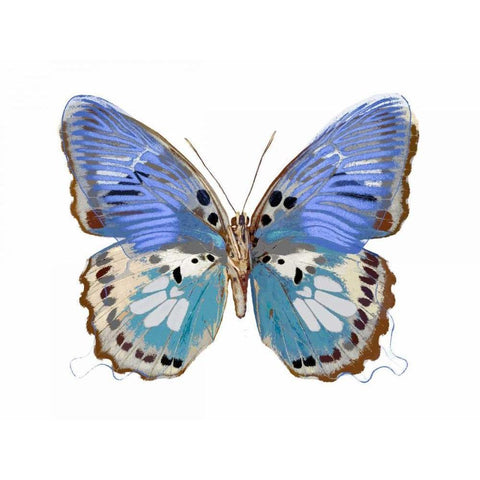 Golden Butterfly V Black Modern Wood Framed Art Print by Bosco, Julia