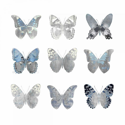 Butterfly Study II White Modern Wood Framed Art Print by Bosco, Julia