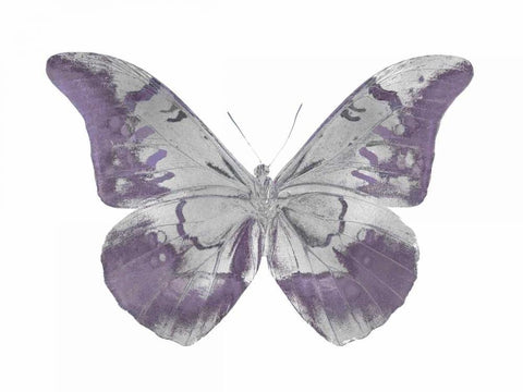 Butterfly in Amethyst I Black Ornate Wood Framed Art Print with Double Matting by Bosco, Julia