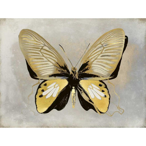 Butterfly Study I Gold Ornate Wood Framed Art Print with Double Matting by Bosco, Julia