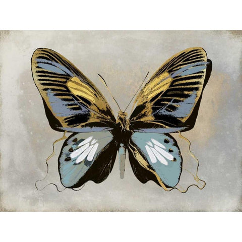 Butterfly Study II Gold Ornate Wood Framed Art Print with Double Matting by Bosco, Julia