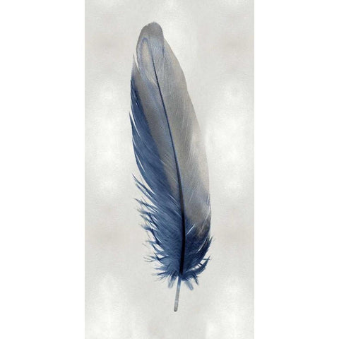 Blue Feather on Silver I Black Modern Wood Framed Art Print with Double Matting by Bosco, Julia