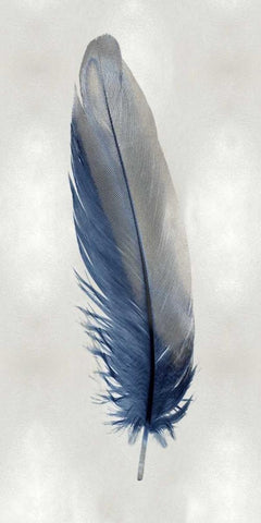 Blue Feather on Silver I Black Ornate Wood Framed Art Print with Double Matting by Bosco, Julia