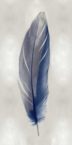 Blue Feather on Silver II White Modern Wood Framed Art Print with Double Matting by Bosco, Julia