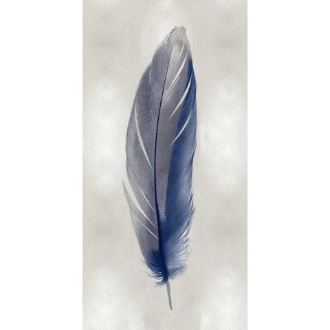 Blue Feather on Silver II Gold Ornate Wood Framed Art Print with Double Matting by Bosco, Julia