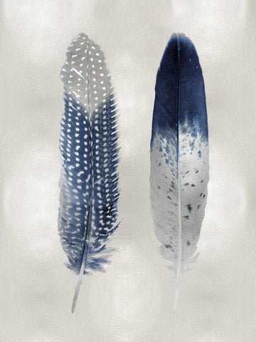 Blue Feather Pair on Silver White Modern Wood Framed Art Print with Double Matting by Bosco, Julia