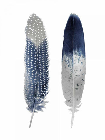 Blue Feather Pair White Modern Wood Framed Art Print with Double Matting by Bosco, Julia