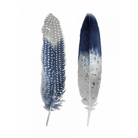 Blue Feather Pair White Modern Wood Framed Art Print by Bosco, Julia