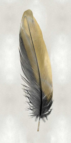 Gold Feather on Silver I Black Ornate Wood Framed Art Print with Double Matting by Bosco, Julia