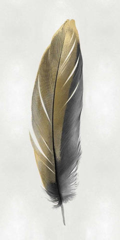 Gold Feather on Silver II White Modern Wood Framed Art Print with Double Matting by Bosco, Julia