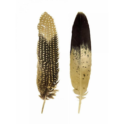 Gold Feather Pair Black Modern Wood Framed Art Print by Bosco, Julia