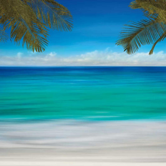 Image Only