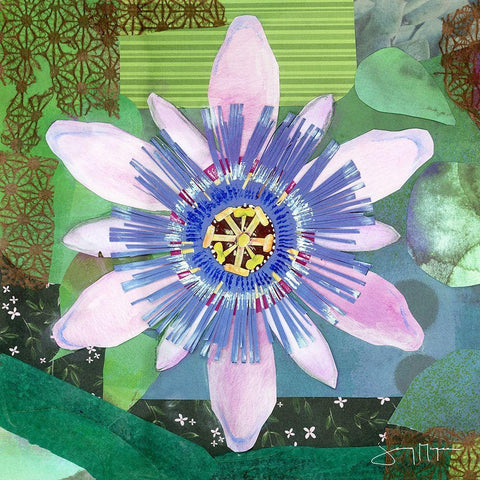 Passion Flower II White Modern Wood Framed Art Print by McGee, Jenny