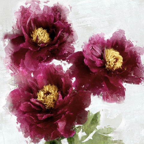 Burgundy Bloom I  Black Modern Wood Framed Art Print with Double Matting by Stevens, Jesse