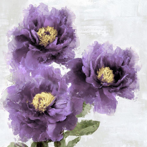 Purple Bloom I Black Modern Wood Framed Art Print by Stevens, Jesse