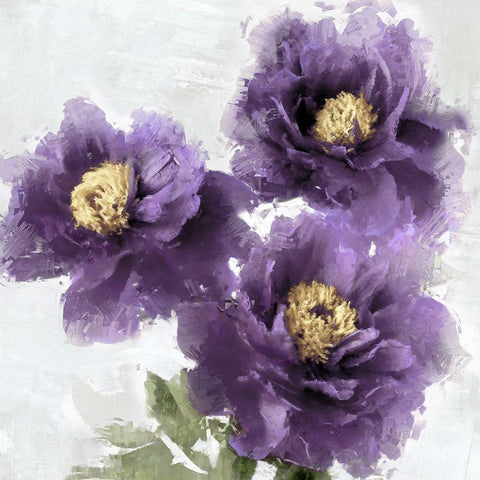 Purple Bloom II White Modern Wood Framed Art Print with Double Matting by Stevens, Jesse