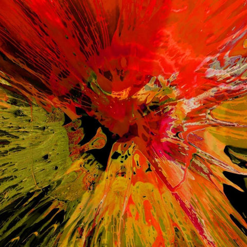 Not Shy III White Modern Wood Framed Art Print with Double Matting by Evans, Josh