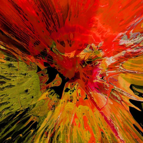 Not Shy III Black Modern Wood Framed Art Print with Double Matting by Evans, Josh