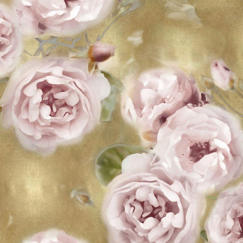 Roses on Gold II White Modern Wood Framed Art Print with Double Matting by Lane, Joanna