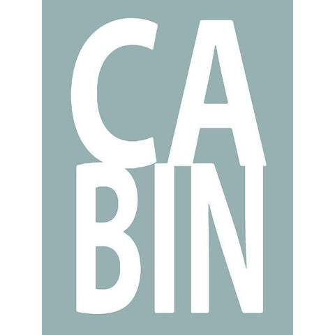 Cabin Aqua Black Modern Wood Framed Art Print with Double Matting by MacDowell, Jamie