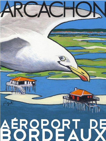 Arcachon aÃ©roport de Bordeaux Black Ornate Wood Framed Art Print with Double Matting by Got, Jean Pierre