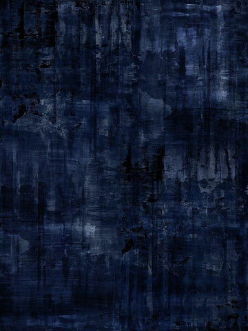 Midnight Blue Black Ornate Wood Framed Art Print with Double Matting by Turner, Justin