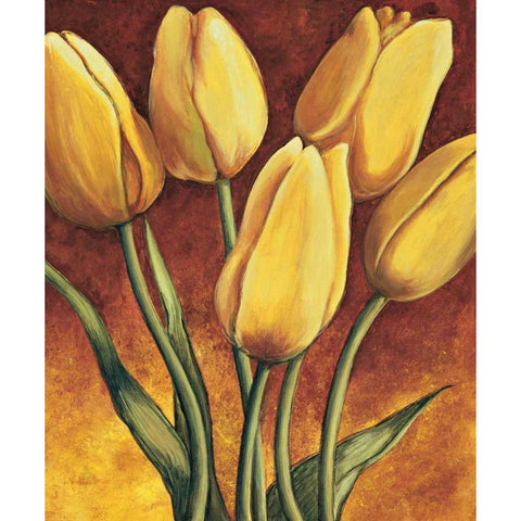 Tulpen White Modern Wood Framed Art Print by Becker, Karin