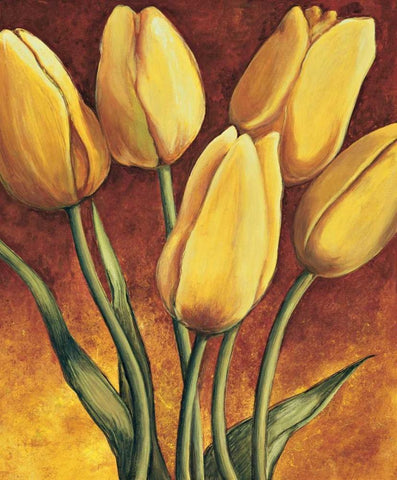 Tulpen White Modern Wood Framed Art Print with Double Matting by Becker, Karin