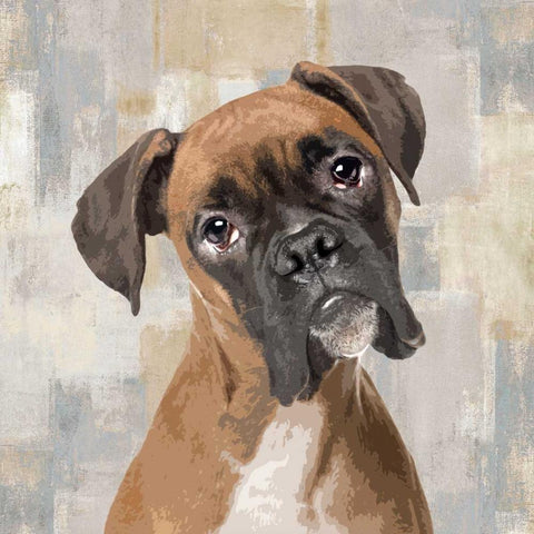 Boxer White Modern Wood Framed Art Print with Double Matting by Rodgers, Keri