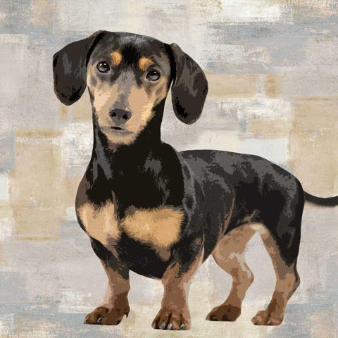 Dachshund White Modern Wood Framed Art Print with Double Matting by Rodgers, Keri