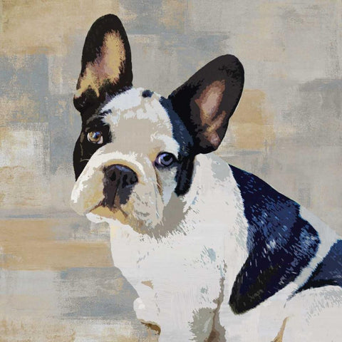 French Bulldog White Modern Wood Framed Art Print with Double Matting by Rodgers, Keri