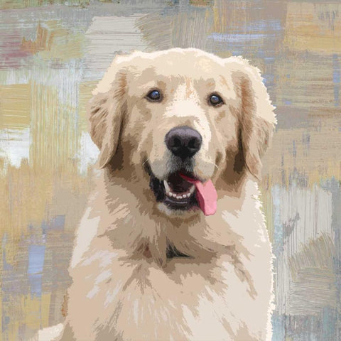 Golden Retriever Black Modern Wood Framed Art Print with Double Matting by Rodgers, Keri