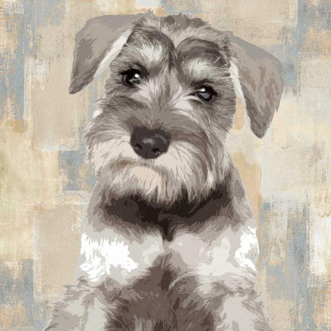 Miniature Schnauser Black Modern Wood Framed Art Print with Double Matting by Rodgers, Keri