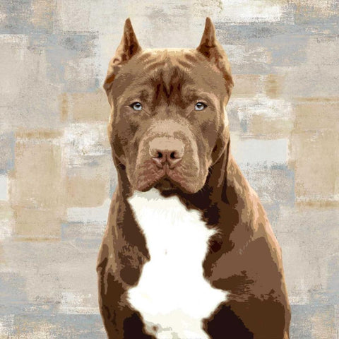 Pit Bull Black Modern Wood Framed Art Print with Double Matting by Rodgers, Keri