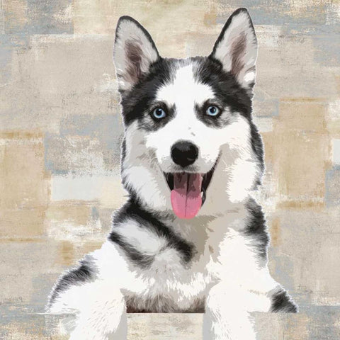 Siberian Husky Black Modern Wood Framed Art Print by Rodgers, Keri
