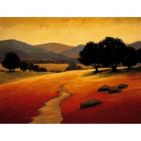 Santa Ynez I Black Modern Wood Framed Art Print with Double Matting by Harris, Kevin