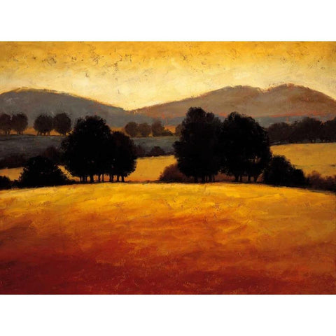 Santa Ynez II White Modern Wood Framed Art Print by Harris, Kevin