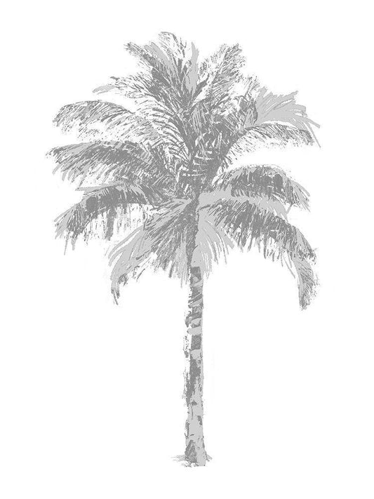 Image Only