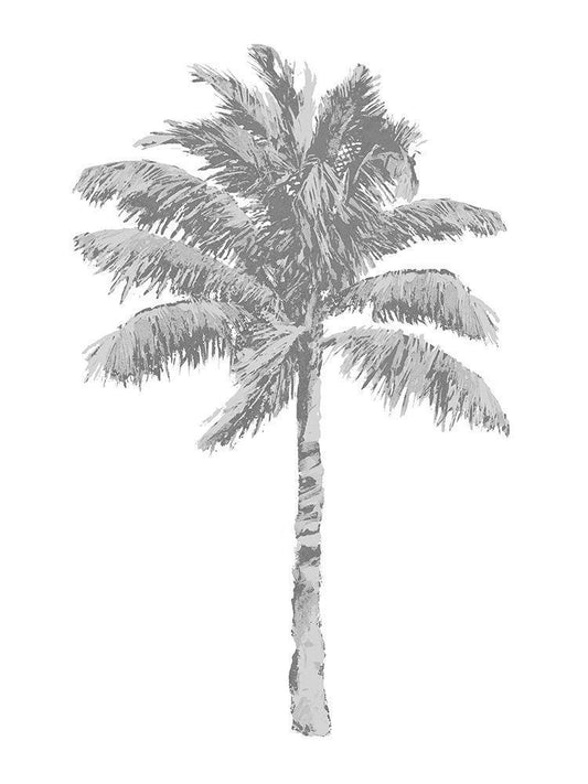 Image Only