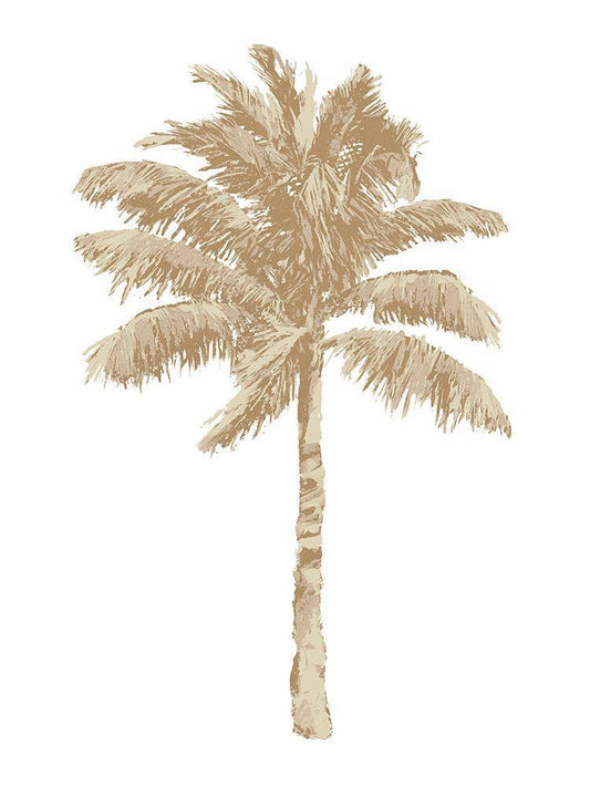 Image Only