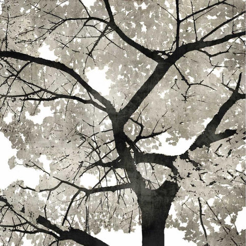 Silver Leaves Black Modern Wood Framed Art Print by Bennett, Kate