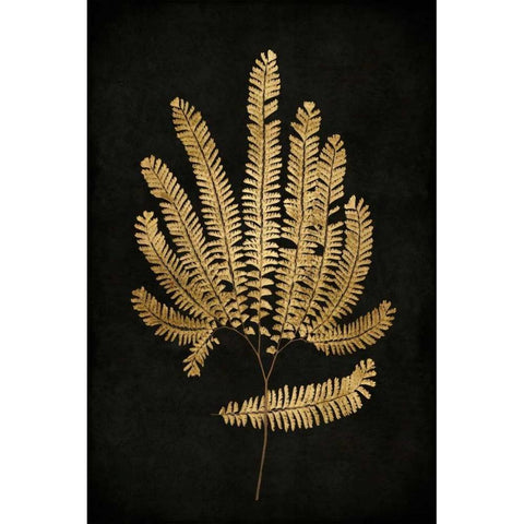 Golden Nature II Black Modern Wood Framed Art Print with Double Matting by Bennett, Kate