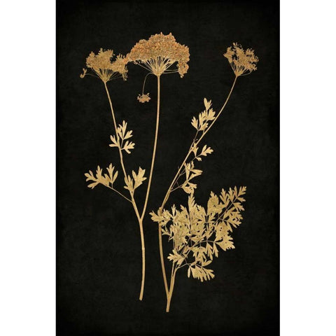 Golden Nature III Gold Ornate Wood Framed Art Print with Double Matting by Bennett, Kate